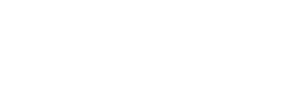 windsonandco.in